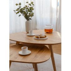Couchtisch Bizon – natürliche Harmonie in Ihrem Interieur